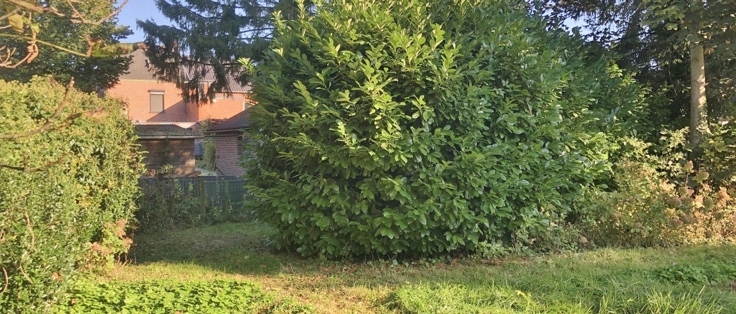 Gebouw voor gemengd gebruik te koop in Laakdal